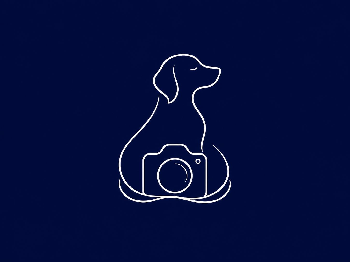Instagramタグ付け投稿で500円オフ 割引バナー（犬とカメラの線画）